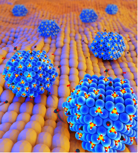 /uploads/image/2019/02/01/6cbd653a7bc862567c7a9367b289c49f.png NEM0_20190131_C0361697492_A646928_content.png