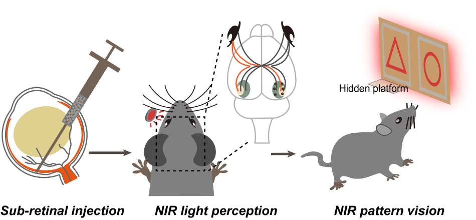 /uploads/image/2019/03/05/f61eeeab75a16eccb08390ed27bc3063.png /uploads/image/2019/03/05/f61eeeab75a16eccb08390ed27bc3063.png