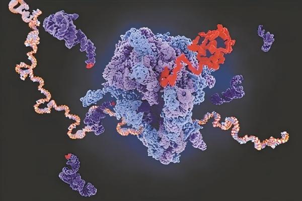 /uploads/image/2025/09/16/8661ecc587e6b2ffe6017195aac5733c.jpg W020250806342033866279_ORIGIN(1).jpg