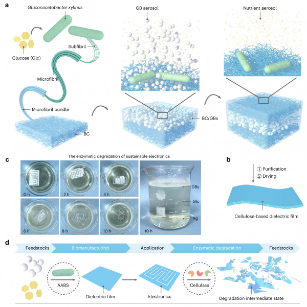 /uploads/image/2025/09/16/c1c9bb3ea84d14f61e6b75c43831d0fb.png 28EC00E893095888EAB389A255B_1FB379F9_2BB60B(1).png