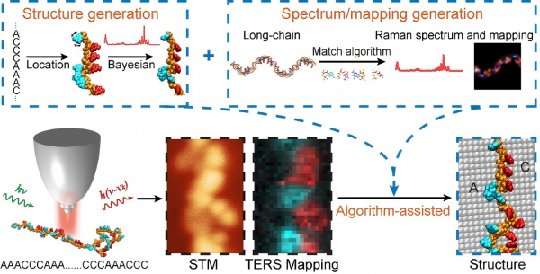 /uploads/image/2025/10/17/d7cbb95bf00edb42517f5c7fef04f13d.png C517F4266AF210DBB463583A5BD_88188855_2D1CB(1).png